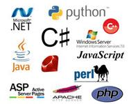 Search Engine Optimization Company